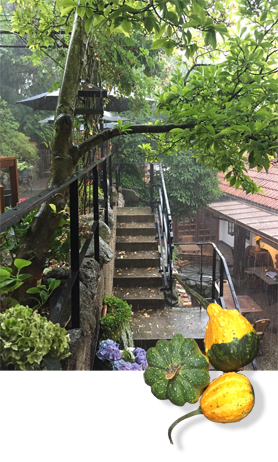 romantic hotel u Raka zahrada